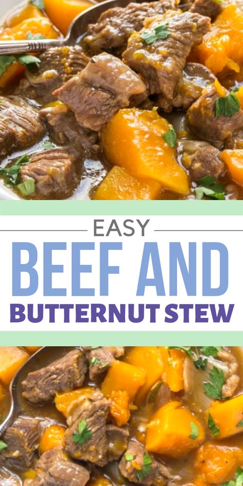 Beef and Butternut Squash Stew is very easy to make, this healthy beef dinner is a perfect weeknight family meal that's made from scratch with fresh ingredients. It's gluten free and Paleo. www.noshtastic.com #stew #beef #butternut #fall Beef And Butternut Squash, Fall Stew, Squash Butternut, Paleo Beef Recipes, Squash Stew, Butternut Squash Stew, Easy Beef Stew, Whole30 Dinners, Healthy Beef