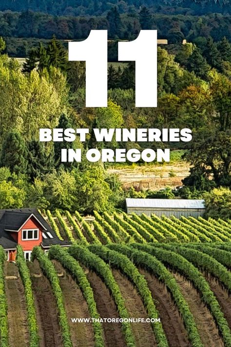 Oregon Vineyards, Pacific Northwest Landscape, Pnw Aesthetic, Oregon Wineries, Pnw Home, Family Trip Ideas, Northwest Landscaping, Oregon Wine Country, Corvallis Oregon