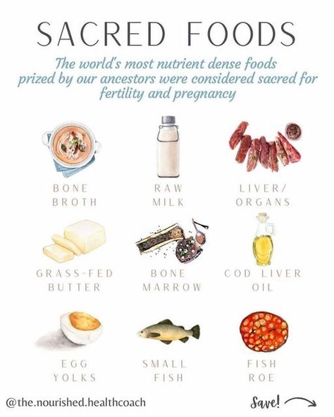 Ketovore Diet, Preparing For Pregnancy, Lion Diet, Iron Foods, Animal Foods, Pregnancy Preparation, Ancestral Nutrition, Most Nutrient Dense Foods, Metabolism Foods