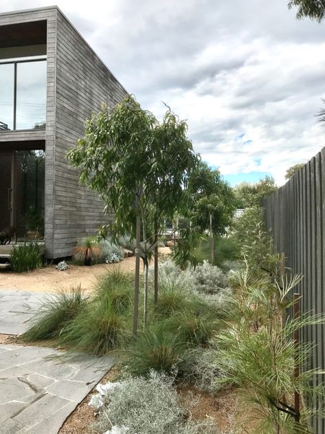 Modern Native Garden #garden #backyarddesign #gardendesign Moderne Have, Australian Garden Design, Garden Landscaping Ideas, Australian Native Garden, Landscaping Inspiration, Australian Garden, Modern Landscape Design, Modern Garden Design, Coastal Gardens