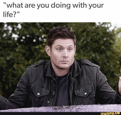 Supernatural Dean Winchester what are you doing with your life shrug Tumblr Jared Padalecki And Jensen Ackles, Spn Memes, Supernatural Pictures, Supernatural Memes, Supernatural Dean, Supernatural Funny, Odaiba, Supernatural Cast, Supernatural Fandom