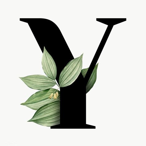 Botanical Capital Letter, Y Alphabet, Letter Y, Free Png, Transparent Png, Alphabet