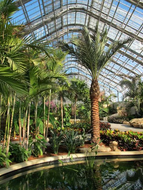 25 Best Things to do in Omaha (Nebraska) - The Crazy Tourist Travel Nebraska, Botanical Center, South Dakota Vacation, House Entry, Colorado Trip, Usa Roadtrip, Midwest Travel, Omaha Nebraska, American Travel