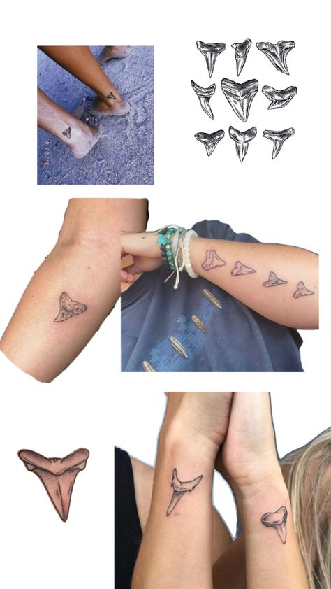 Shark Tooth Tattoo, Whale Shark Tattoo, Tooth Tattoo, Seashell Tattoos, Small Pretty Tattoos, Shark Tattoos, Subtle Tattoos, Aesthetic Tattoo, Shark Tooth