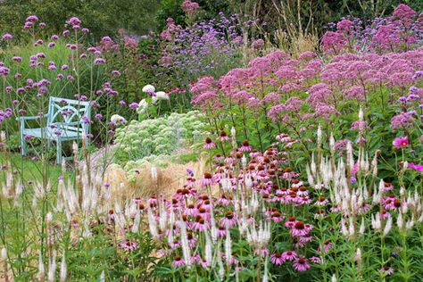 Hydrangea Arborescens Annabelle, Prairie Planting, Style Anglais, Prairie Garden, Meadow Garden, Have Inspiration, Mediterranean Garden, Lake Pictures, Traditional Garden