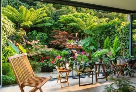 40 Magical Plant Garden Ideas for Every Outdoor Space - These garden design ideas are essential to a system you'll love for years to com... #gardenideas #smallcity City Patio, Patio Planting, Jungle Retreat, Small Tropical Gardens, Tropical Garden Ideas, Architectural Plants, Small Courtyard, Tropical Garden Design, Jungle Gardens