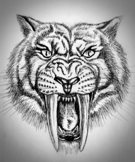 Sketch of a sabertooth tiger in pen. Freehand, based on conceptual artwork. Vignette added with my photo editing program. Sabor Tooth Tiger Tattoo, Sabertooth Tiger Tattoo Traditional, Sabertooth Tiger Drawing, Sabertooth Tiger Tattoo, Saber Tooth Tiger Tattoo, Smilodon Tattoo, Skull Drawing Tattoo, Sabretooth Tiger, Tiger Hand Tattoo