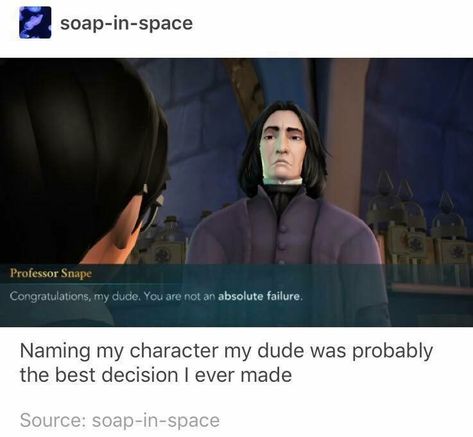 Glume Harry Potter, Potter Facts, Harry Potter Headcannons, Harry Pottah, Hogwarts Mystery, Harry Potter Facts, Magnum Opus, Harry Potter Jokes, Harry Potter Marauders