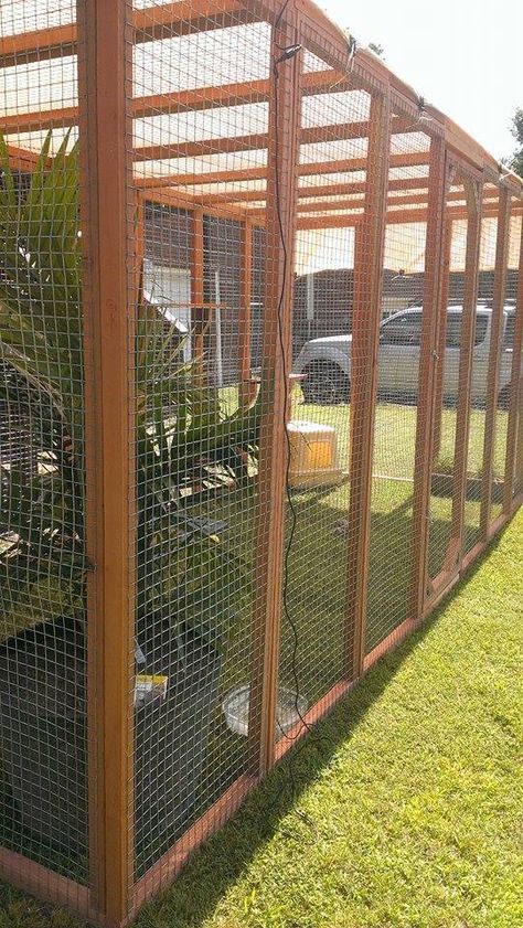 Chicken Wire Catio, Outside Cat Enclosure Diy Window, Free Catio Blueprints, Catio Plans From Window, Catio Ideas Cat, Outdoor Cat Window Cage, Chicken Wire Cat Balcony, Catio Plans, Ideas For Cats