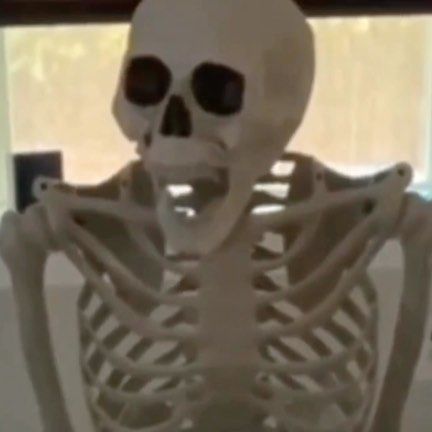 Skeleton Pics, Scream Meme, Hidden Doors, Barking Dog, Funny Feeling, Reaction Pic, Reaction Face, Snapchat Funny, Pinterest Memes