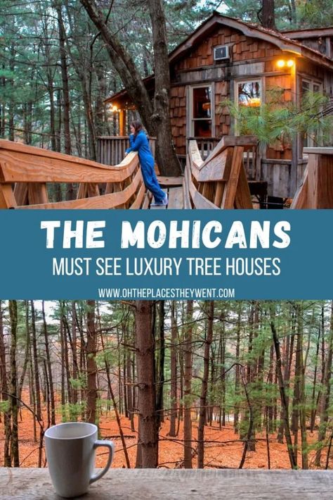 The Mohicans: Luxury Family Friendly Tree Houses In Ohio - Oh The Places They Went Mohican State Park Ohio, Luxury Tree Houses, White Oak Tree, Treehouse Masters, Treehouse Cabins, Luxury Family, Tree Houses, Unique Places, Tree Frogs