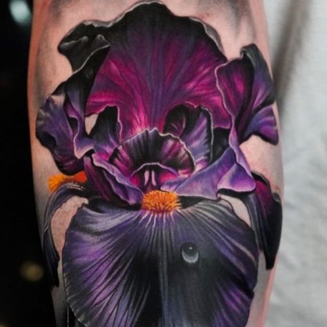 Bearded Iris Tattoo, Black Iris Tattoo, Iris Tattoo Black And White, Dark Flower Tattoo Cover Up, Poisonous Flowers Tattoo, Iris Tattoo Design, Flying Phoenix Tattoo, Cameo Tattoo, Most Beautiful Tattoos