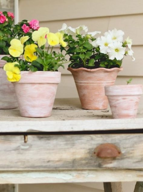 Summer Porch Makeover: DIY Whitewash Terracotta Pots Story - Tidbits How To Whitewash, Terra Cotta Pots, Summer Front Porches, Porch Makeover, Summer Porch, Garbage Bag, Painted Pots, Terracotta Pots, Terra Cotta