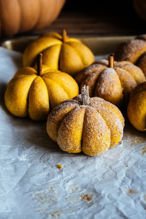 pumpkin shaped buns (and cinnamon buns) — the farmer's daughter | let's bake something Pumpkin Pecan Muffins, Pumpkin Buns, Bake Something, Pumpkin Cinnamon Rolls, Bread Shaping, Kawaii Cooking, Halloween Baking, Sweet Pumpkin, Pumpkin Pecan