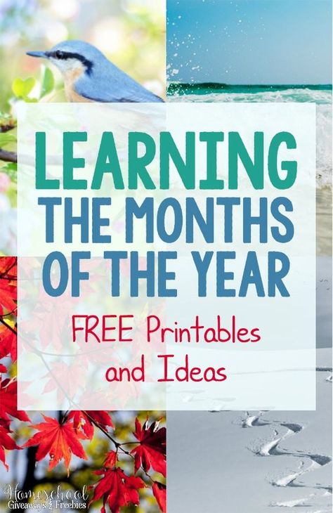 Learning the Months of the Year FREE Printables and Ideas How To Teach The Months Of The Year, Learning Months Of The Year Activities, Months Of The Year Preschool Activities, Teaching Months Of The Year, Months Of The Year Printables Free, Learning Months Of The Year, Months Of The Year Activities, Songs Preschool, Preschool Freebies