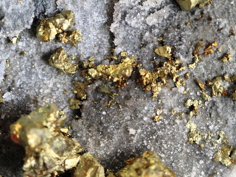 Gold mining, gold ore Gold Ore, Memory Chip, Gold Prospecting, Golden Texture, Beyond The Sea, Gold Mine, Hidden Treasure, Metal Detecting, Coins Worth Money