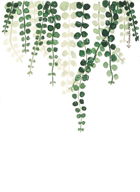 Hanging, trailing green vines in various shades of green.  This high-resolution PRINTABLE art is available to download automatically after your payment is processed at http://www.etsy.com/your/purchases. You'll have instant decor on your walls in minutes! You will receive a high-resolution JPG file in an 5x7 inch size INSTANT DOWNLOAD - NO PHYSICAL PRODUCT WILL BE SHIPPED! TERMS OF USE : - You may print as many copies as needed after your purchase - for personal use or to give as a gift. - The f Vine Leaves Drawing, Green Themed Painting Ideas, Green Vines Drawing, Hanging Vines Painting, Vines Design Drawing, Easy Vine Painting, Painted Vines On Wall, Green Plants Drawing, Green Vines Aesthetic