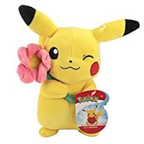 Check this out! Pikachu Plushies, Hedgehog Room, Pokemon Valentine, Pokemon Plushies, Flower Plush, Pokemon Realistic, Pusheen Plush, Anime Plushies, Pokemon Merchandise