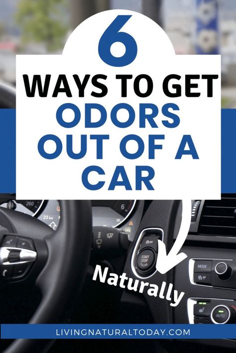 Do you want to remove odors from car interiors naturally? In this post, learn how to get odors out of your car without using toxic chemical cleaners. #removeodorsfromcar | #removeodorfromcarinteriors | #howtogetodorsoutofcar Odor Eliminator Diy, Car Odor Eliminator, Car Cleaner Interior, Carpet Smell, Car Carpet Cleaner, Car Life Hacks, New Car Smell, Car Cleaner, Dog Smells