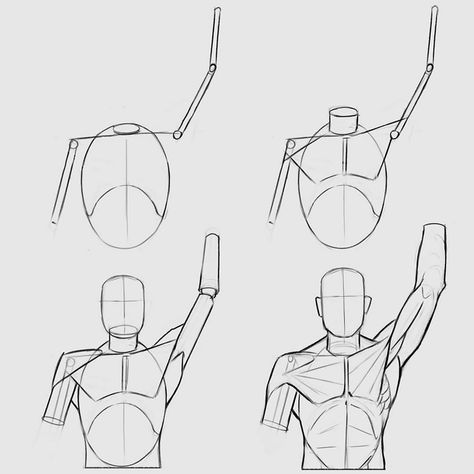 Arm Raised Anatomy, Raised Arm Anatomy, Drawing Shoulders And Arms, Human Anatomy Simplified, Lifted Arm Reference, Arm Raised Pose Drawing, Raised Arm Drawing Reference, Arms Raised Above Head Pose Reference, Pec Anatomy