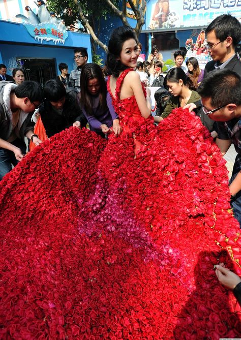 How cool is this dress!!??!  News article: "Chinese Man Proposes With Dress Made Of 9,999 Roses". 1000 Roses, Roses Beautiful, Roses Dress, News Article, Chinese Man, Red Gowns, Holy Cow, Floral Fashion, Art Dress