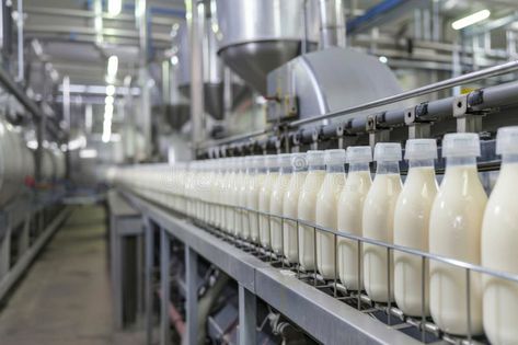 Production line of milk and yogurt at dairy processing plant royalty free stock images Milk Processing Plant, Milk Ideas, Milk Industry, Milk Factory, Factory Photography, Milk Processing, Milk Dairy, Dairy Industry, Dash Diet