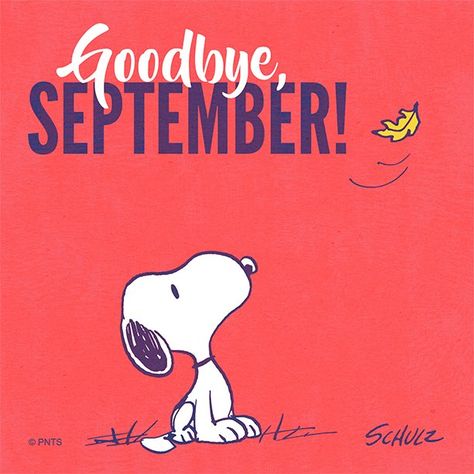 Snoopy October, Goodbye September, Hello Goodbye, Poker Party, Hello October, Thanksgiving Greetings, Snoopy Quotes, Snoopy Pictures, The Peanuts