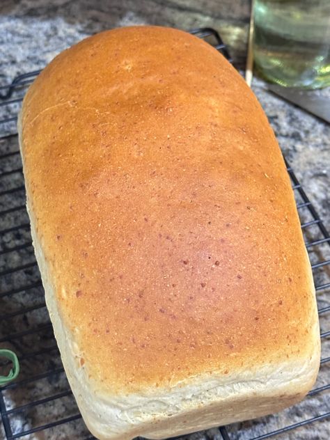 Parmesan & Rosemary Loaf bread machine Bread Machine Garlic Bread Recipe, Parmesan Bread, Rosemary Bread, Garlic Infused Olive Oil, Bread Maker Recipes, Garlic Olive Oil, Garlic Oil, How To Dry Rosemary, Bread Maker