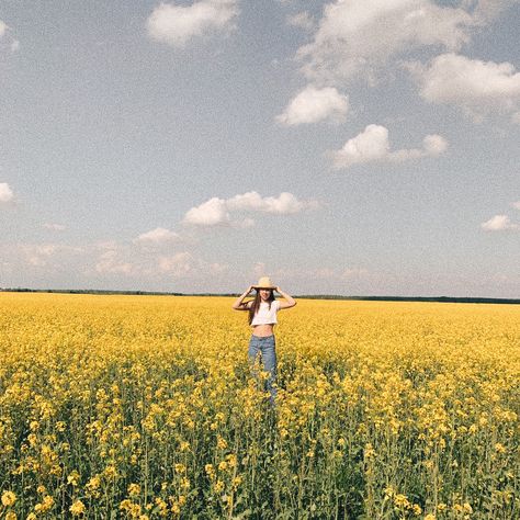 field of yellow flowers, apiary, photos with flowers Yellow Field Photoshoot, Yellow Flower Field Photoshoot, Sunshine Video, Photos With Flowers, Yellow Flower Field, Field Of Yellow Flowers, Model Concept, Field Photos, Blogger Poses