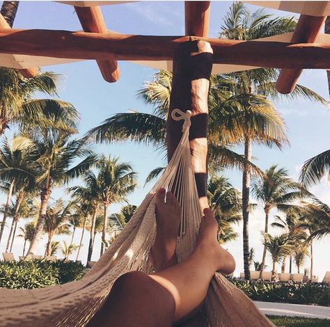 Hawaii. Vacation. Hammock. Tan. Summer. Picture ideas. Palm trees. Outside. Tree Of Life Pictures, Summer Picture Ideas, Mexico Pictures, Palm Tree Photography, Palm Tree Pictures, Tan Summer, Tree Pictures, Hawaii Pictures, Vanilla Sky