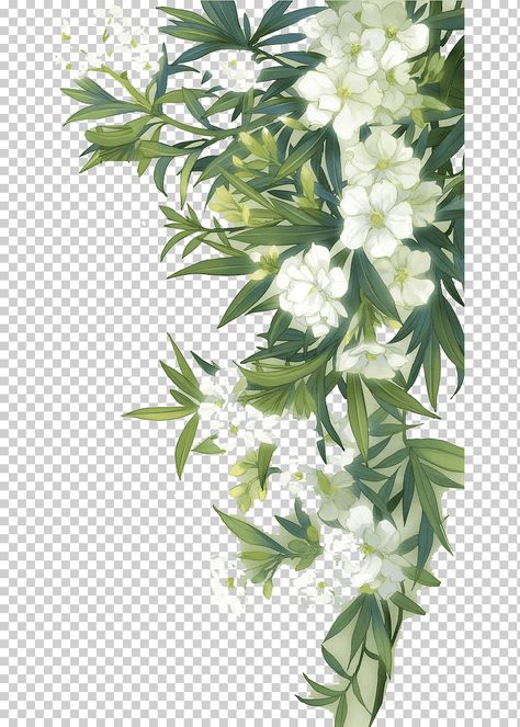 Green Leaves Illustration, White Flower Png, Word Png, White Flowering Plants, Botany Illustration, Flowers Watercolour, Flower Png Images, Leaves Illustration, Watercolour Flowers