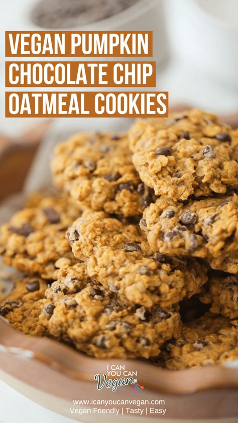 Easy Vegan Pumpkin Chocolate Chip Oatmeal Cookies | I Can You Can Vegan Vegan Pumpkin Oatmeal, Vegan Pumpkin Cookies, Vegan Oatmeal Cookies, Chocolate Chip Oatmeal Cookies, Cookies Video, Soft Cookie Recipe, Pumpkin Oatmeal Cookies, Vegan Oatmeal, Vegan Cookies Recipes