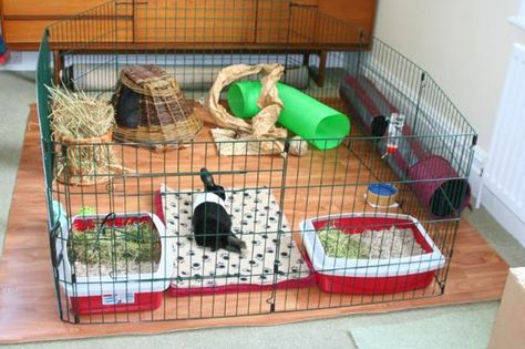 Rabbit Nation: Indoor Rabbit Cage Ideas Pet Bunny House, Diy Bunny Cage, Indoor Rabbit House, Puppy Pen, Rabbit Playpen, Indoor Rabbit Cage, Rabbit Enclosure, Rabbit Habitat, Puppy Pens