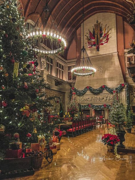 Christmas At The Biltmore Estate, The Biltmore Estate Christmas, Biltmore Estate Aesthetic, Biltmore Aesthetic, Biltmore Estate Library, Old Money Christmas, Biltmore Estate Christmas, Hp Christmas, Biltmore Christmas