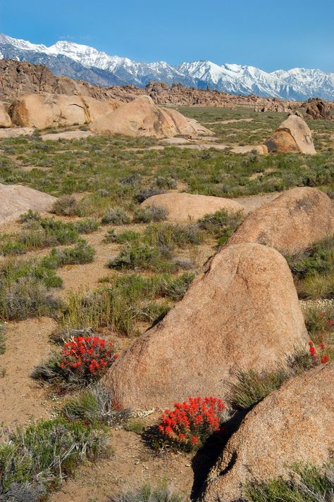 photo Lone Pine California, Eastern Sierras, Mountains California, Alabama Hills, Sequoia Tree, Lone Pine, Nevada Mountains, California Photos, Sierra Nevada Mountains