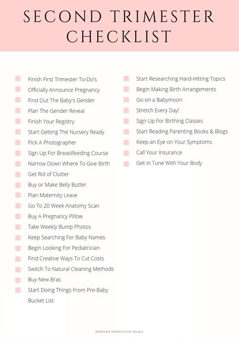 Sofia Grace, Trimester Checklist, Trimester By Weeks, Third Trimester Checklist, Pregnancy Checklist, Baby Checklist, Baby Planning, Second Trimester, Trimesters Of Pregnancy