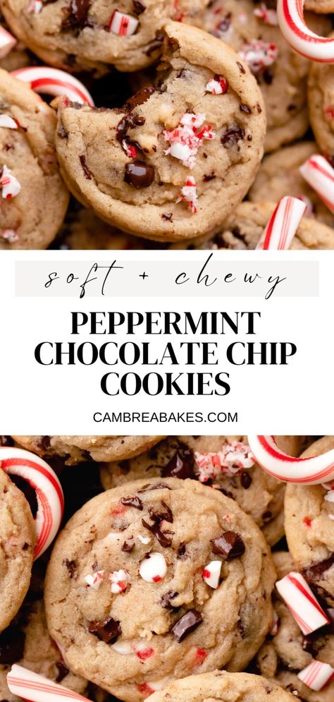 These peppermint chocolate chip cookies are a holiday twist on a classic chocolate chip cookie! Loaded with candy cane pieces and lots of chocolate chips, they are sure to be your new favorite Christmas cookie. Peppermint Chocolate Chip Cookies, Bbq Dessert, Peppermint Chocolate, Christmas Baking Recipes, Christmas Food Desserts, Christmas Cooking, Baking Sweets, Chocolate Peppermint, Cookies Recipes Christmas