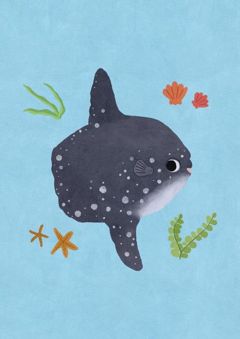 This lovely sunfish aka the mola mola loves swimming at the surface of the water and munching jellyfish. This us an original digital artwork in the style of gouache and coloured pencils by Rachel Chia (TopyCo). Designs up on RedBubble and Society6! Ocean Animal Illustration, Lionfish Illustration, Sunfish Illustration, Rainbow Fish Illustration, Fish Biology Illustration, Osaka Aquarium, Aquatic Life Illustration, Shark Whale, Jellyfish Illustration