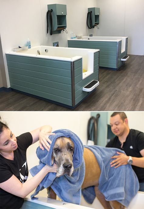 At Home Dog Grooming, Daycare Design, Dog Spa, Dog Grooming Salons, Dog Hotel, Pet Spa, Pet Hotel, Can Lids, Grooming Salon