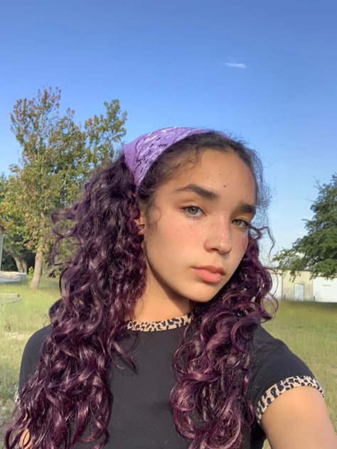 Curly Hair Dark Purple, Plum Purple Curly Hair, Dyed Curly Hair Ideas Colour Purple, Light Purple Curly Hair, Lilac Curly Hair, Purple Curly Hair Highlights, Curly Hair Color Ideas Purple, Dark Purple Hair Curly, Sherbet Aesthetic