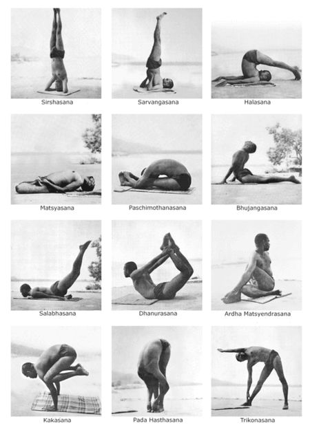 Meditation Diet, Sivananda Yoga, Photo Yoga, Yoga India, Yoga Handstand, Ayurveda Yoga, Yoga Inspo, Yoga Photos, Yoga Iyengar