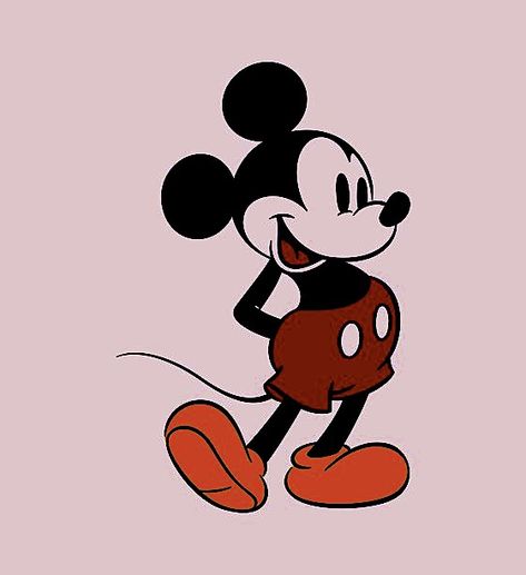 Mickey Mouse Pfp, Disney World Aesthetic, World Aesthetic, Pfp Aesthetic, A House, Disney World, Disney, Red, Pink