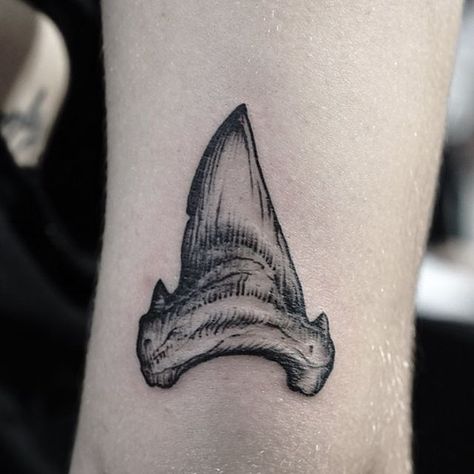 This i could actually see getting Shark Tooth Tattoo, Tooth Tattoo, Necklace Tattoo, Armband Tattoo Design, Muster Tattoos, Shark Tattoos, Sketch Tattoo, Sketch Tattoo Design, Tattoo Designs And Meanings