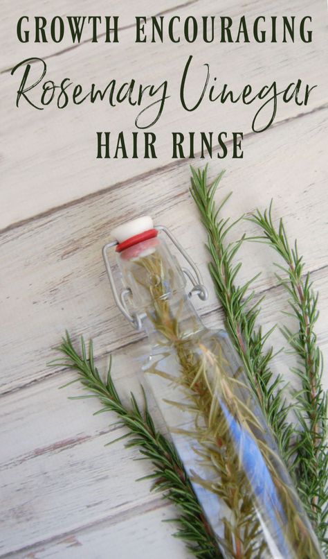 Rosemary Vinegar, Hair Rinse Recipe, Vinegar Hair Rinse, Vinegar For Hair, Rosemary Hair, Herbal Skin Care, Diy Shampoo, Lavender Hair, Hair Rinse