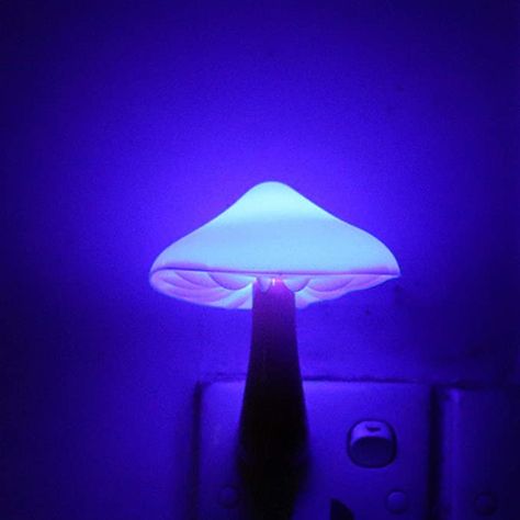 Amazon.com: Blue Led Nigh Light,Plug in Nightlight, Dusk to Dawn Sensor Night Lights for Kids Adults Bedroom, Bathroom,Toilet,Stairs,Kitchen,Hallway Christmas Thanksgiving Gifts : Everything Else Hallway Christmas, Night Lights For Kids, Adults Bedroom, Bathroom Night Light, Stairs In Kitchen, Blue Mushroom, Stair Lights, Mushroom Lights, Sensor Night Lights