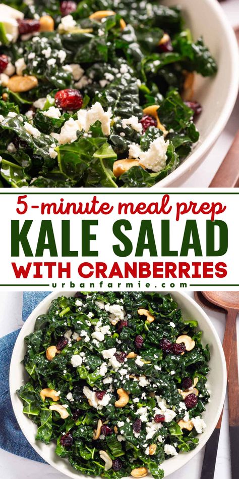 A spring salad idea for beginners! Your Memorial Day dinner recipes must have this kale cranberry salad. In just 5 minutes, you can have this easy kale salad with cranberries, lemon, and nuts! Red Kale Salad, Spinach And Kale Salad, Kale Recipes Salad, Kale Cranberry Salad, Memorial Day Dinner, Cranberry Kale Salad, Spring Recipes Vegetarian, Easy Kale Salad, Kale Feta