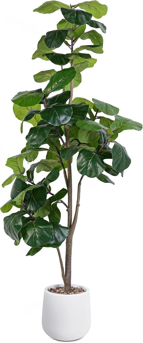 Amazon.com: Artificial Fiddle Leaf Tree, 6ft Faux Plant Fake Ficus Lyrata Silk Trees with White Planter, Artificial Fig Trees Floor Plants for House Office Living Room Indoor Home Decor, Housewarming Gift : Home & Kitchen Plants For House, Fiddle Tree, Personal Room, Fiddle Leaf Tree, Fig Trees, Indoor Home Decor, Fig Plant, Ficus Lyrata, Silk Tree