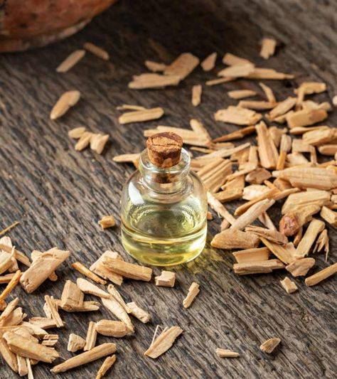 Cedarwood Oil For Hair: Uses And Benefits Lavender Oil For Hair, Scalp Moisturizer, Thyme Oil, Holistic Skin Care, Sage Oil, Cedarwood Oil, Cedarwood Essential Oil, Essential Oils For Hair, Fast Hairstyles