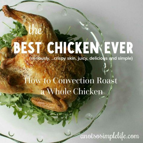 Roast Whole Chicken, Baked Whole Chicken Recipes, Best Roast Chicken Recipe, Chicken Gluten Free, Convection Oven Cooking, Convection Oven Recipes, Chicken And Cheese Recipes, Whole Baked Chicken, Cooking Whole Chicken