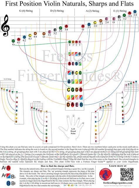 The violin fingering poster shows how to effortlessly find the notes for first position violin scales. Put it on and Play!™ Violin Scales Beginner, How To Play Violin For Beginners, How To Play Violin, Violin Notes For Beginners, Violin Theory, Violin Beginner Learning, Violin Chords, Violin Fingering Chart, Violin Tips